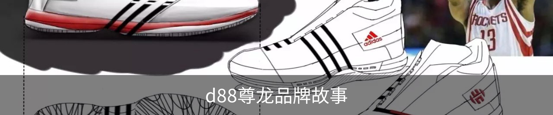 d88尊龙品牌故事